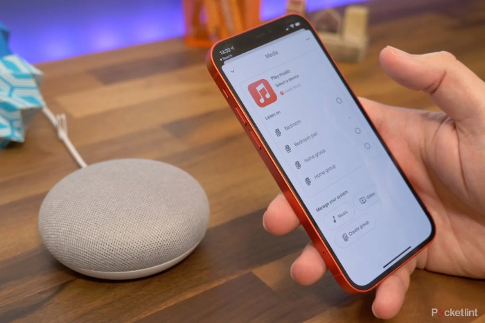 Apple music integration google home