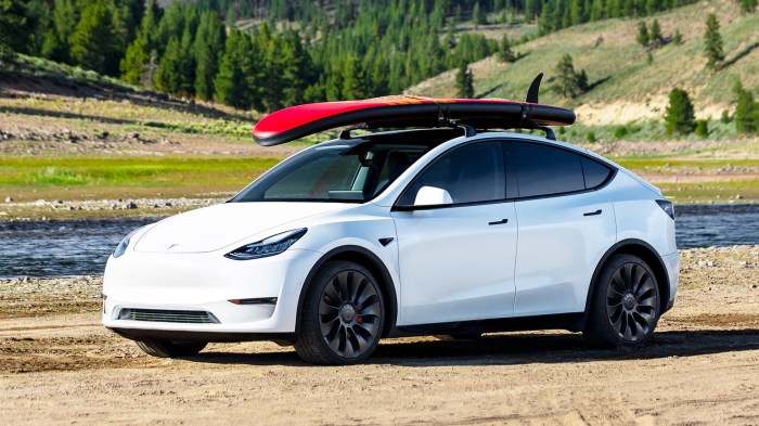 Tesla model y official