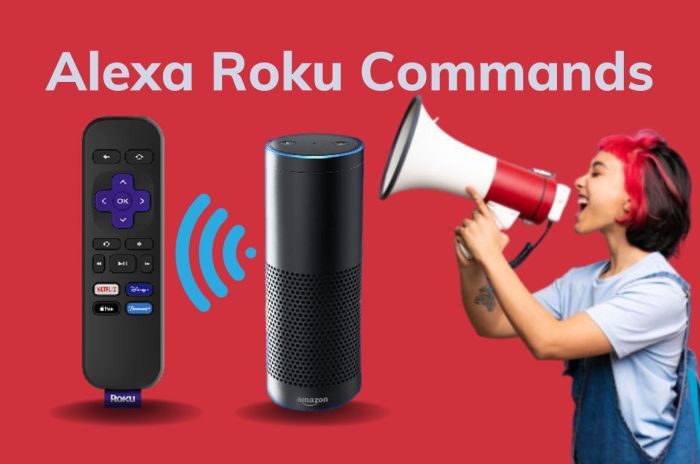 Roku controlled with alexa