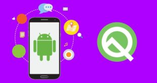 Android q developer preview official