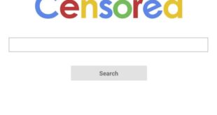 Google refutes censored search engine report