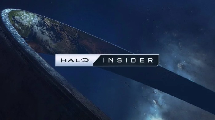 Microsoft launches the halo insider program