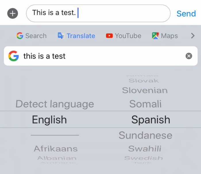 Gboard ios translate on the fly