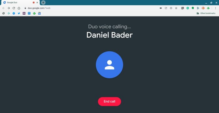 Google duo for web